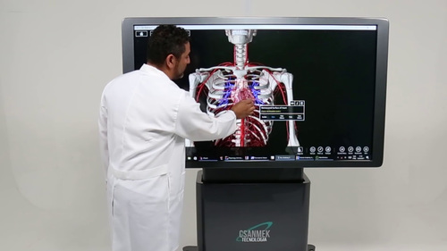 Startup brasileira desenvolve tecnologia que converte ressonâncias e tomografias em clones virtuais - Imagem: Divulgação