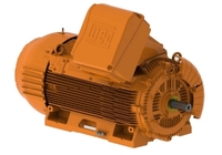 Motor Elétrico WEG - W50 API 541