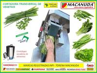 MACHINE FOR INDUSTRIAL KITCHEN GREEN ONION CUTTER MACANUDA