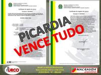 PICARDIA VENCE TUDO, DONA DA MARCA PROCURA PARCERIAS NO ESTADO DE SC