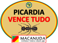 PICARDIA VENCE TUDO A MARCA DO FORMIGÃO EM IBIRUBÁ