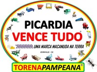 PICARDIA VENCE TUDO MÁQUINAS TORENA PAMPEANA EM STA RITA DO TRIVELATO