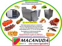 FÁBRICA DE FRUTAS DESIDRATADAS EQUIPAMENTOS MARCA MACANUDA