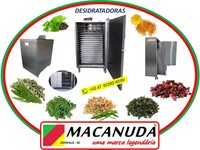 MÁQUINA PROFISSIONAL INOX DE DESIDRATAR ERVAS MEDICINAIS - MACANUDA