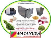 CEBOLA DESIDRATADA, DESIDRATADORAS INDUSTRIAIS AÇO INOX MACANUDA